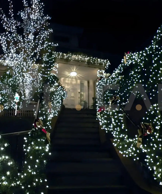 Christmas decorated house illuminated with 100 Solar LED Fairy Lights in cool white