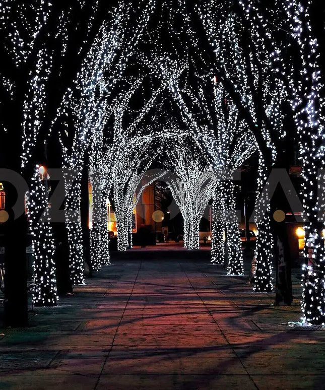 1000 Low Voltage LED Fairy Lights 8 Function Memory Hold Christmas Decoration Cool White - Occasions > Party Lights >