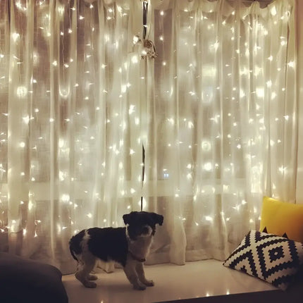 Black and white dog with solar LED fairy lights displayed on Christmas decoration