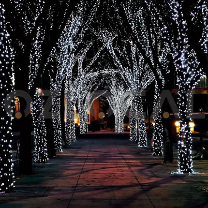Trees decorated with white solar LED fairy lights for festive holiday illumination