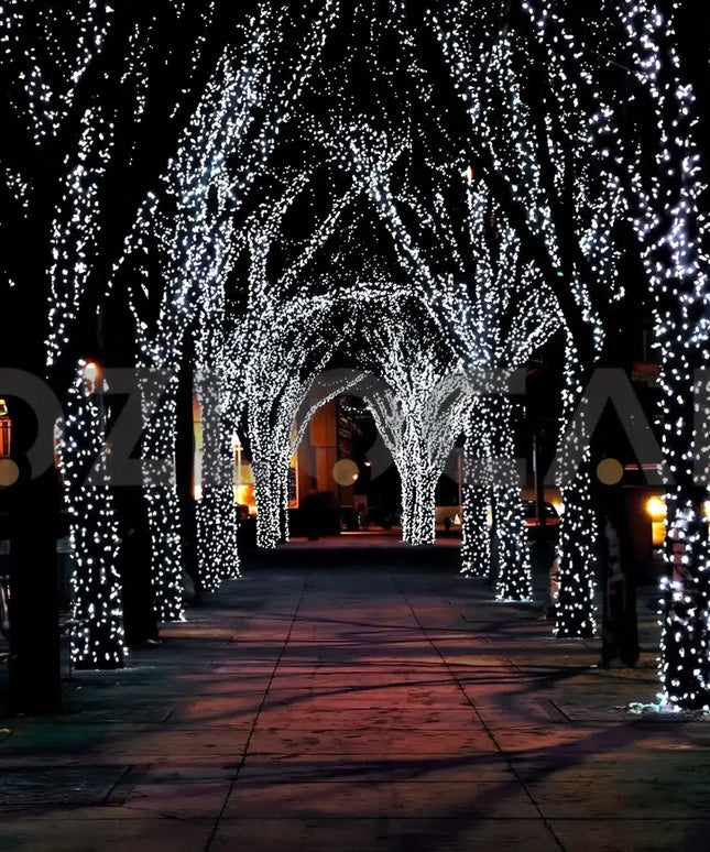 Trees decorated with white solar LED fairy lights for festive holiday illumination
