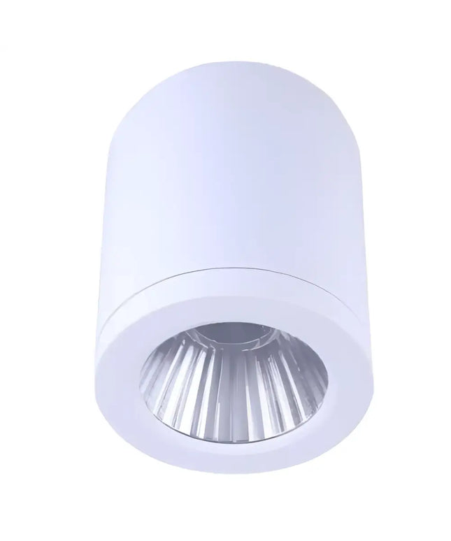 10W LED White Tri-Colour 90mm Surface Mount Downlight