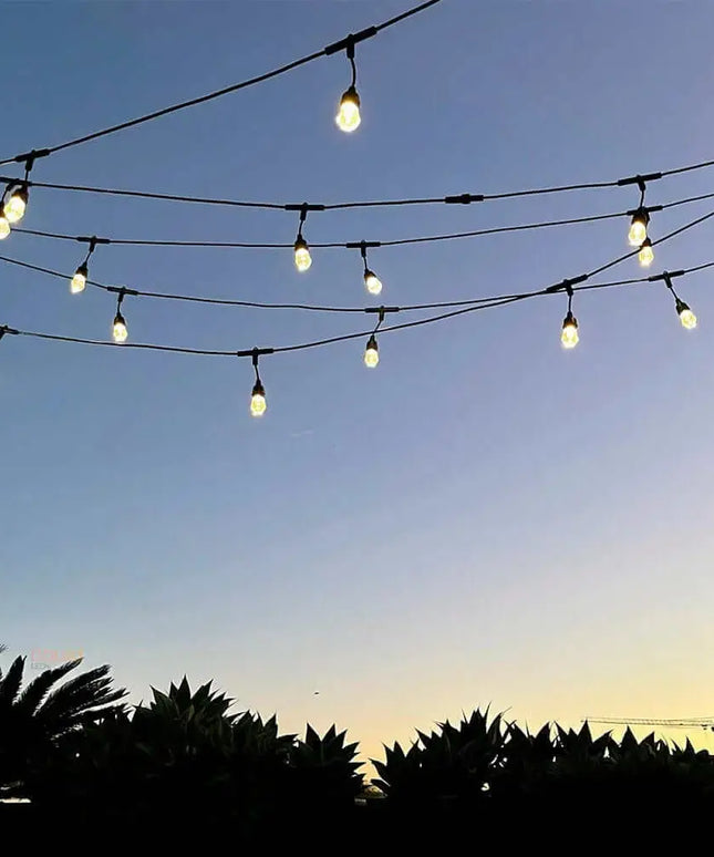 15m Smart Festoon String Lights with 15 LED Bulbs Liquidleds, Festoon String, 15m-smart-festoon-string-lights-with-15-led-bulbs