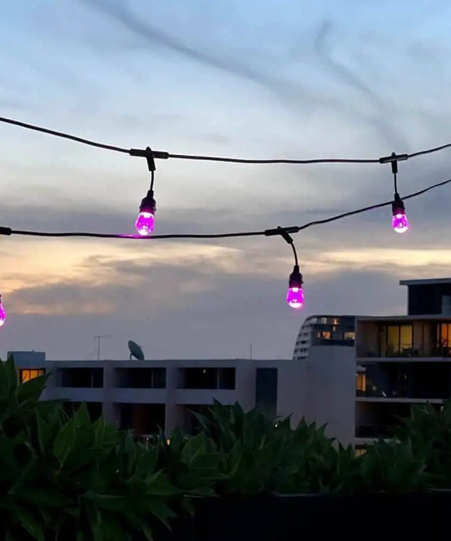 15m Smart Festoon String Lights with 15 LED Bulbs Liquidleds, Festoon String, 15m-smart-festoon-string-lights-with-15-led-bulbs