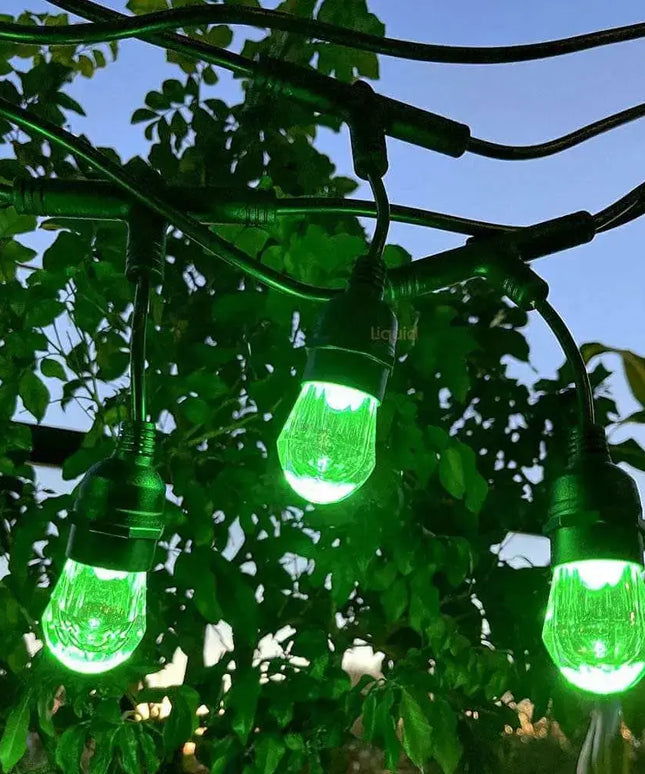 15m Smart Festoon String Lights with 15 LED Bulbs Liquidleds, Festoon String, 15m-smart-festoon-string-lights-with-15-led-bulbs