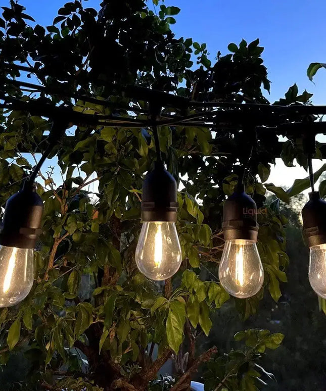 15m Solar Festoon String Lights with 15 LED Bulbs Liquidleds, Festoon String, 15m-solar-festoon-string-lights-with-15-led-bulbs-1