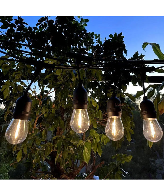 15m Solar Festoon String Lights with 15 LED Bulbs Liquidleds, Festoon String, 15m-solar-festoon-string-lights-with-15-led-bulbs-1