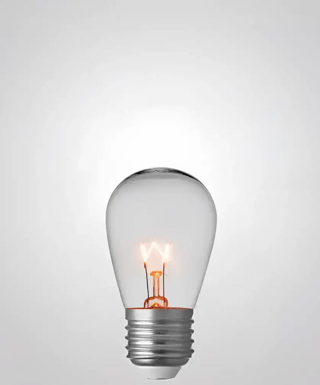 15pc Box Vintage Festoon Globe 11W Incandescent Light Bulb E27