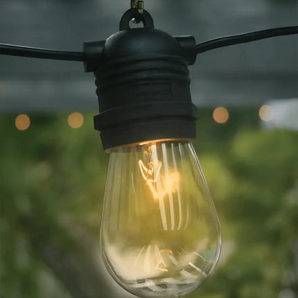 15pc Box Vintage Festoon Globe 11W Incandescent Light Bulb E27