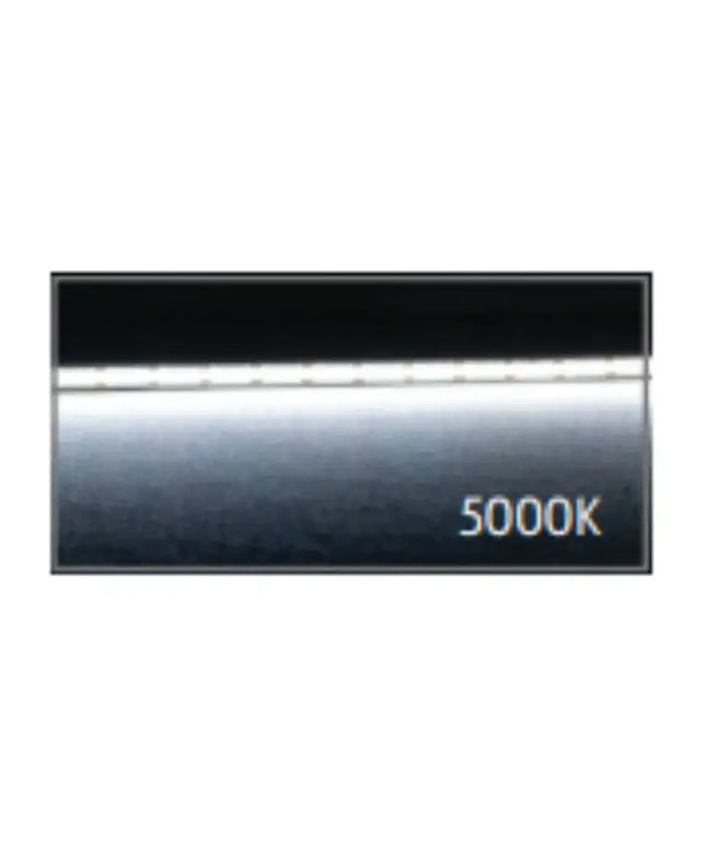 Domus PLEX-COB-15-IP67 - 15W LED Per Metre 640LED True Dotless Striplight IP67 24V - DRIVER REQUIRED - 5000K - LEDSTRIP