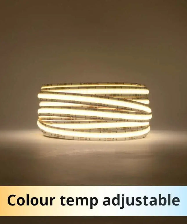 12mm | 24W/m DTW 2700K - 6500K | IP20 | COB Dot Free LED Strip Light-IP20 COB STRIP LIGHTING-Lighting Creations