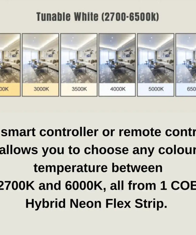 12mm | 24W/m DTW 2700K - 6500K | IP20 | COB Dot Free LED Strip Light-IP20 COB STRIP LIGHTING-Lighting Creations