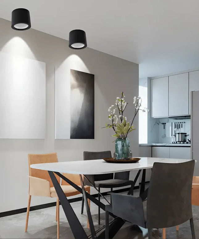 20W LED White Tri-Colour 120mm Surface Mount Downlight