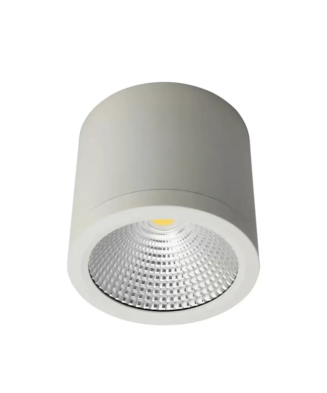 20W LED White Tri-Colour 120mm Surface Mount Downlight