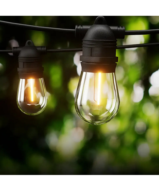 Hanging black festoon string lights with 20 bulbs and plug-in kit for outdoor or indoor decor