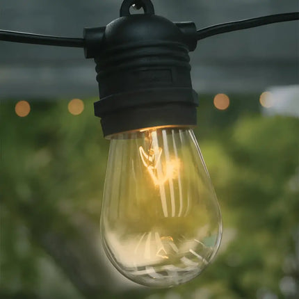 24pc Box Vintage Festoon Globe 11W Incandescent Light Bulb E27