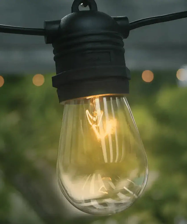 24pc Box Vintage Festoon Globe 11W Incandescent Light Bulb E27