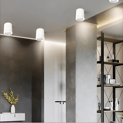 25W LED White Tri-Colour 130mm Surface Mount Downlight