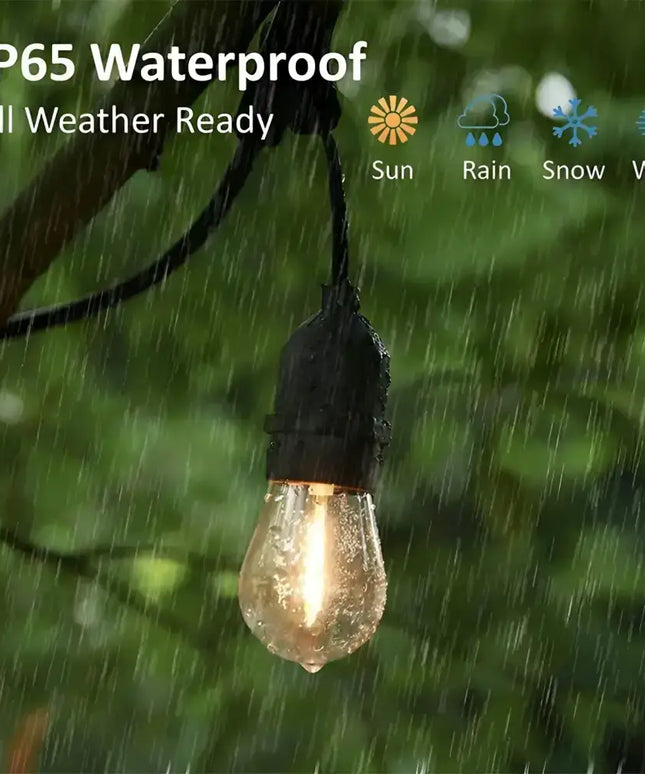 Waterproof outdoor lightbulb from 40m Black Hanging Festoon String Lights with Plug-in Kit