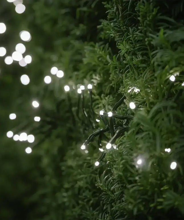 500 LED Connectable Cluster Light - 12 Colour Options - String Light