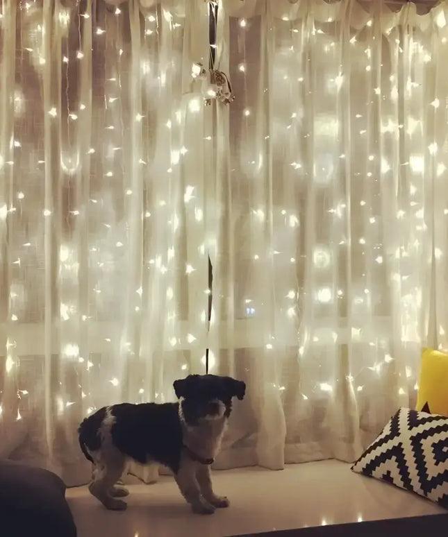Black and white dog next to 500 Solar LED Fairy Lights for Christmas decoration