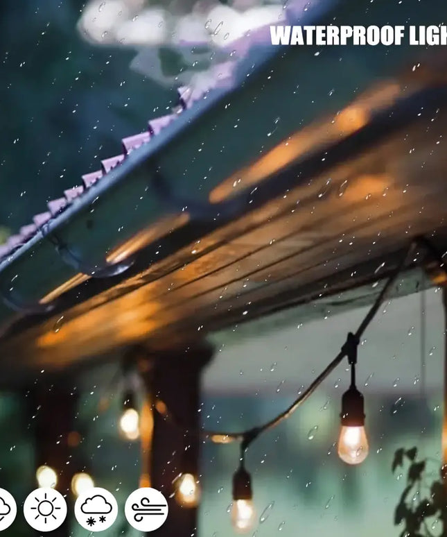 Waterproof 50m Black Hanging Festoon String Lights with 50 Bulbs and Plug-in Kit