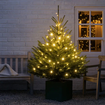 520 LED Connectable Fairy Light Chain Clear Cable - 6 Colour Options