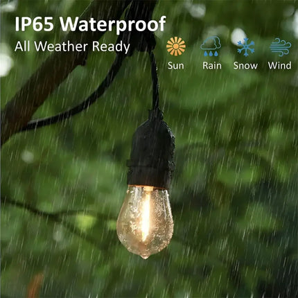 Waterproof outdoor lightbulb from 60m Black Hanging Festoon String Lights with 60 Bulb Kit