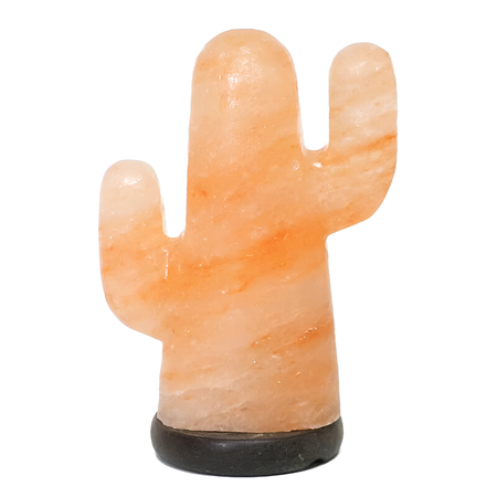 Handcrafted cactus Himalayan salt lamp glowing warmly, featuring a compact design and unique shape.