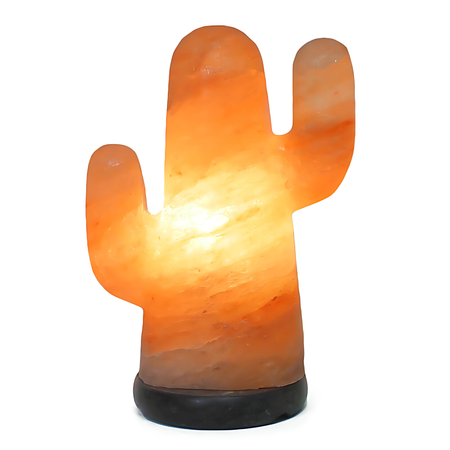 Cactus-shaped Himalayan salt lamp with a soothing amber glow and Australian-standard cord.