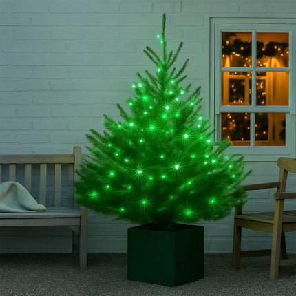 240 LED Fairy Light Chain Clear Cable - 7 Colour Options