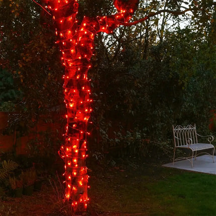 240 LED Fairy Light Chain Clear Cable - 7 Colour Options