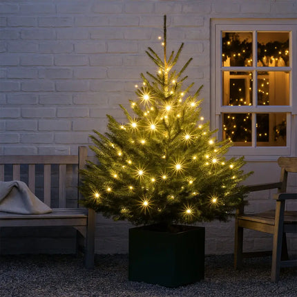 240 LED Fairy Light Chain Clear Cable - 7 Colour Options