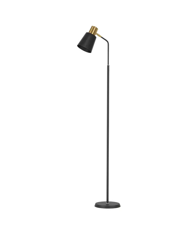 Black and gold modern floor lamp with LED light stand for home and office decor