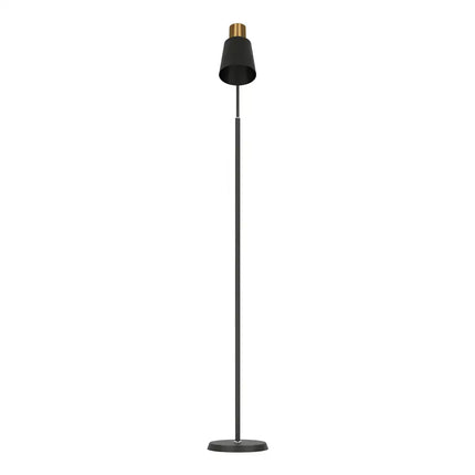 Black and gold modern LED floor lamp for living room and office lighting