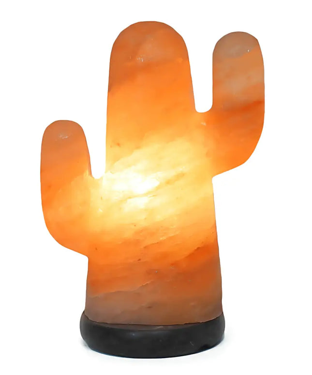 Cactus Salt Lamp (12V - 12W) - Home & Garden > Lighting > Night Lights & Ambient Lighting - The Himalayan Salt Collective