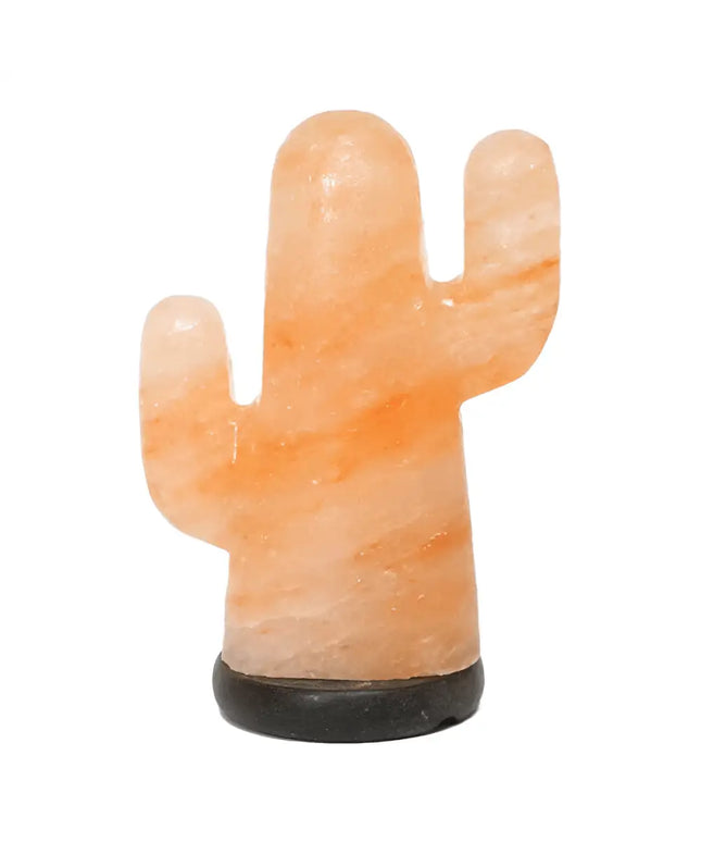 Cactus Salt Lamp (12V - 12W) - Home & Garden > Lighting > Night Lights & Ambient Lighting - The Himalayan Salt Collective