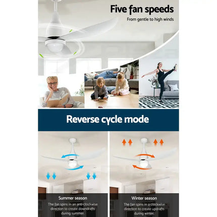 Quiet and powerful DC motor ceiling fan with reverse airflow mode