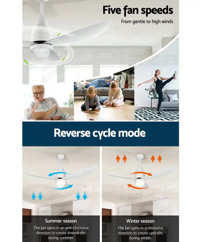 Quiet and powerful DC motor ceiling fan with reverse airflow mode
