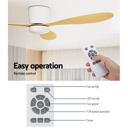 Ceiling fan with reverse cycle function for both summer cooling and winter warmth