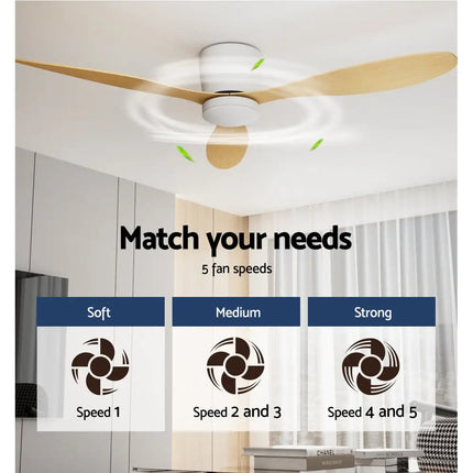 Energy-efficient DC ceiling fan with five-speed settings and whisper-quiet operation