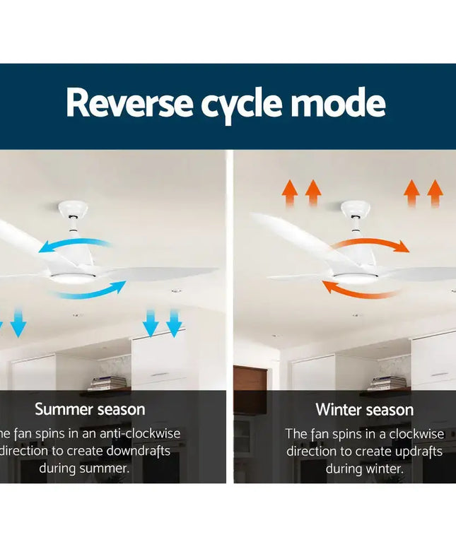 Quiet and energy-efficient 50W DC motor ceiling fan with LED light