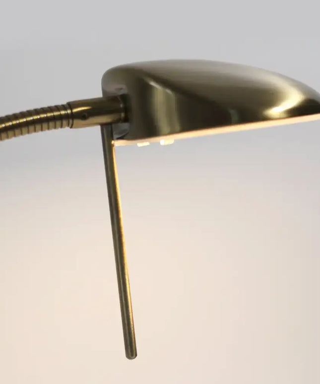 Jella LED Floor Lamp - Antique Brass - LL-LED-03AB-Floor Lamps-Lexi Lighting
