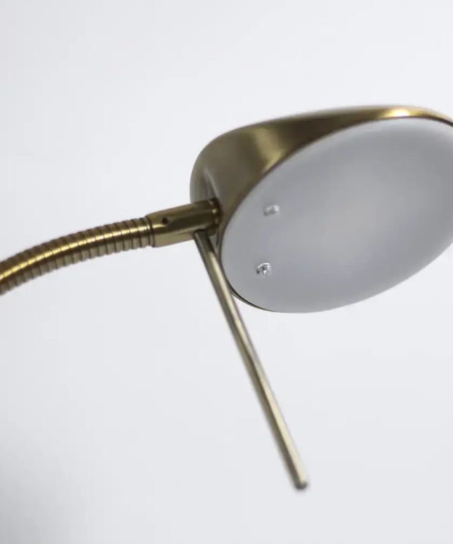 Jella LED Floor Lamp - Antique Brass - LL-LED-03AB-Floor Lamps-Lexi Lighting