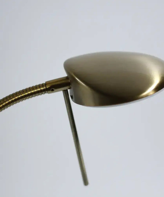 Jella LED Floor Lamp - Antique Brass - LL-LED-03AB-Floor Lamps-Lexi Lighting