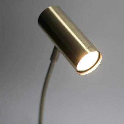 Lexi Lighting Sarla Desk Lamp - Antique Brass - Home & Garden > Lighting