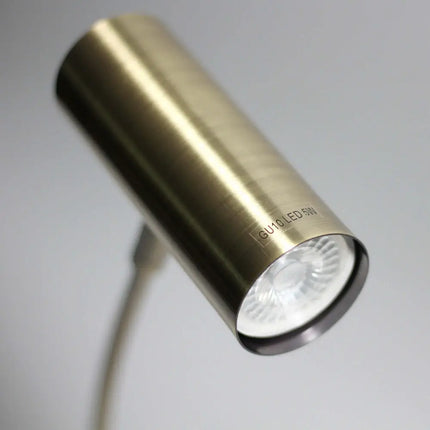 Lexi Lighting Sarla Desk Lamp - Antique Brass - Home & Garden > Lighting