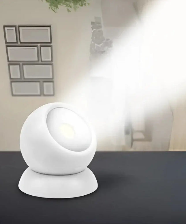 Motion Activated Swivel Ball Light--Brillar