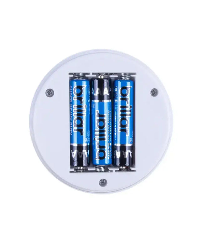 Motion Activated Swivel Ball Light--Brillar