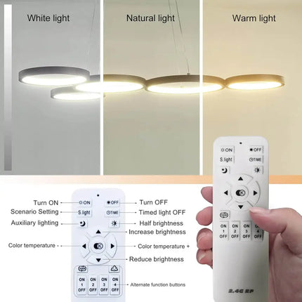 OLYMPIA 54W LED Black pendent Light with Remote Control - Home & Garden > Lighting